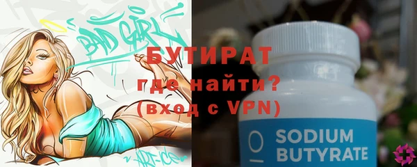 индика Гусь-Хрустальный