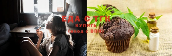 индика Гусь-Хрустальный