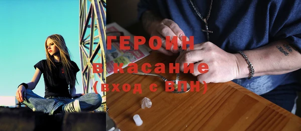 индика Гусь-Хрустальный