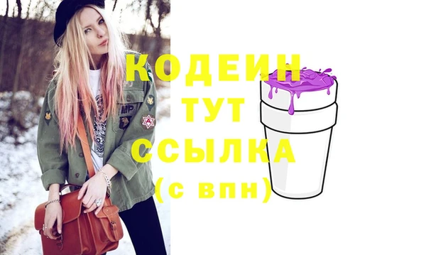 индика Гусь-Хрустальный