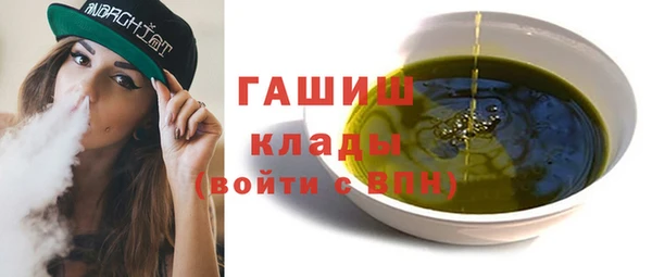 индика Гусь-Хрустальный