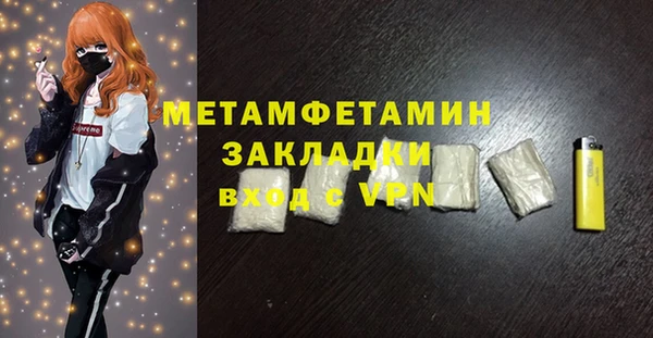 индика Гусь-Хрустальный