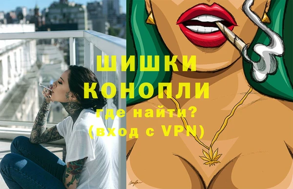 индика Гусь-Хрустальный