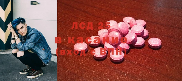 индика Гусь-Хрустальный