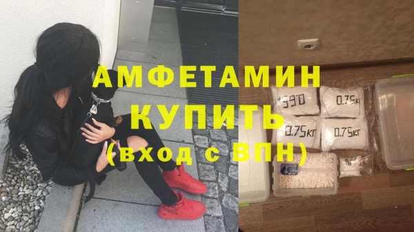 индика Гусь-Хрустальный