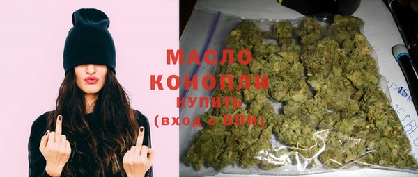 индика Гусь-Хрустальный