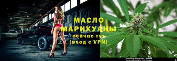 индика Гусь-Хрустальный