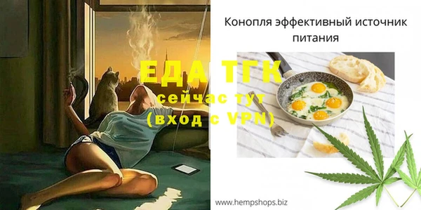 индика Гусь-Хрустальный