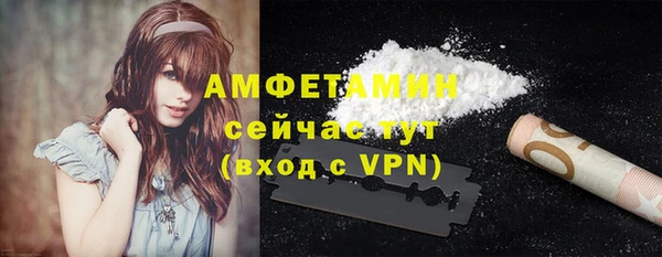 индика Гусь-Хрустальный