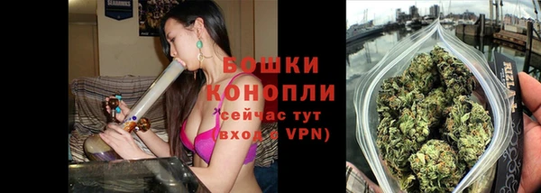 бошки Гусиноозёрск