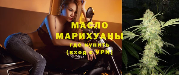 индика Гусь-Хрустальный